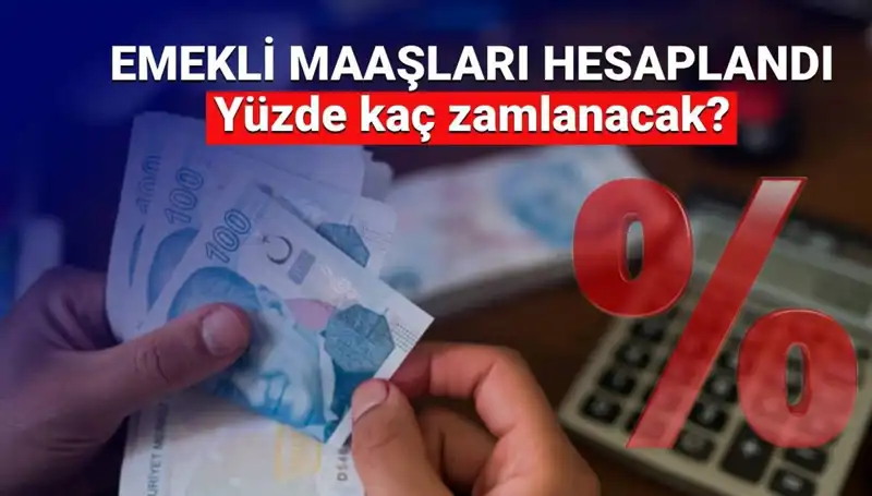 Emekli Zammı Beklentisi: 2024 Yılında Ne Kadar Artış Olacak?
