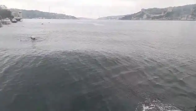 İstanbul Boğazı'nda Dalga Yüksekliği Rekor Kırdı: Şaşırtıcı Görüntüler