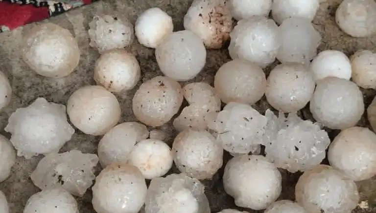 Şanlıurfa'da Kar Topu Büyüklüğünde Dolu Yağdı, Şehir Beyazla Kaplandı!