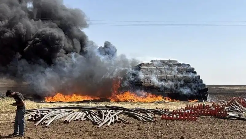 Mardin'de Anız Yangınları: Tarım Arazileri İçin Tehdit Oluşturuyor