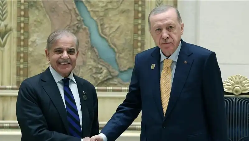İstanbul'da Tarihi Buluşma: Cumhurbaşkanı Erdoğan ve Pakistan Başbakanı Şerif