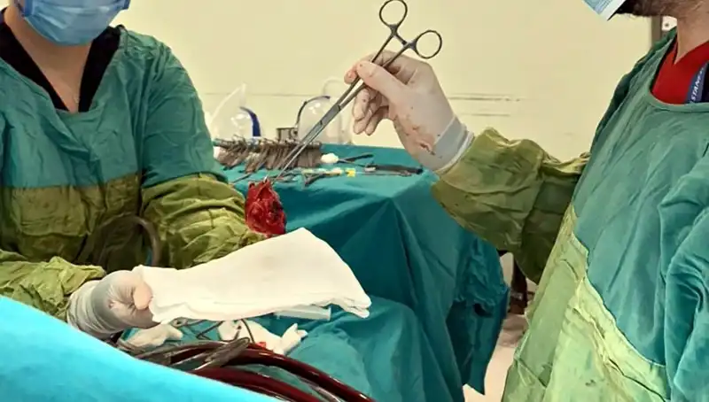 Kalp Kapağı İle Yüzleşen Hasta, 7 Saatlik Ameliyatla Hayata Döndü