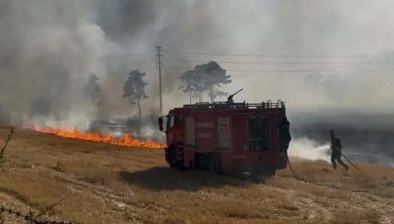 Kırklareli'nde Tüyleri Diken Diken Eden Anız Yangını