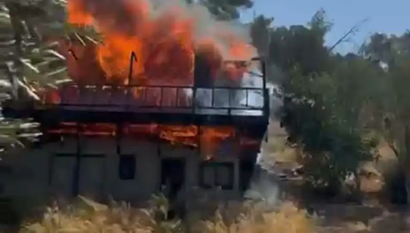 Bodrum'da Yangın Alarmı: Ekipler Hızla Seferber Oldu