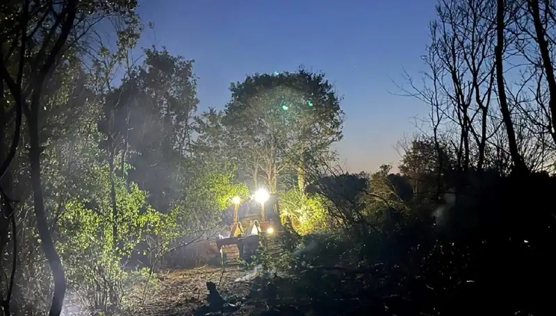 Edirne'deki Orman Yangınında Alınan Önlemler ve Son Gelişmeler