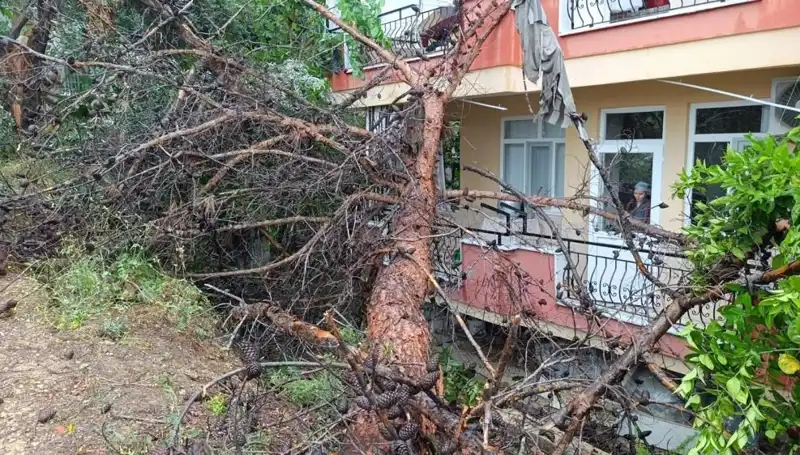 Aşırı Yağışlar İle Birlikte Bina Çöktü: Olayın Ayrıntıları