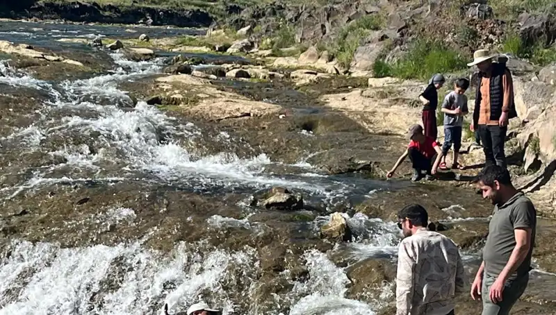 İnci Kefalinin Göçü: Doğanın Büyüsü Turistleri Büyülüyor