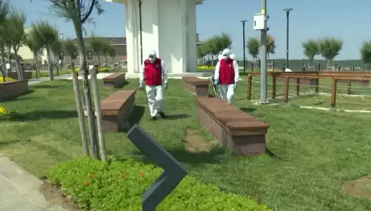 Hızla Artan Kene Görülme Sıklığı Sağlık Tehlikesi Oluşturuyor