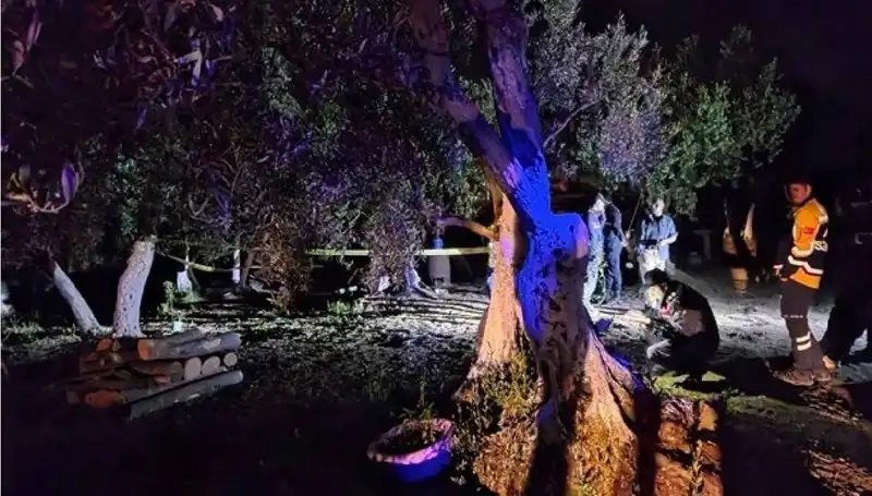 Çiftlikteki Baltalı Vahşet: Şok Edici Tutuklama