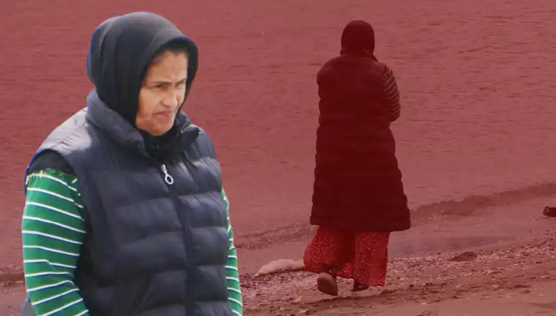 132 Günlük Umut: Sahilde Bekleyen Güvercin Yavrusu