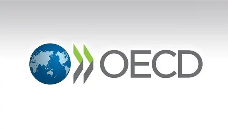 OECD, Türkiye’nin Ekonomik Büyüme Tahminini Revize Etti: Yeni Rakamlar Ne Anlama Geliyor?