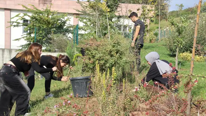 Düzce’nin Gururu: Hayal Olmaktan Çıktı, Dünya Çapında Tanınmaya Başladı