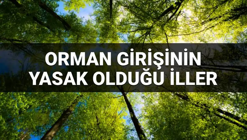 2025 Yılında Ormana Girmek Yasak Olan İller Açıklandı!