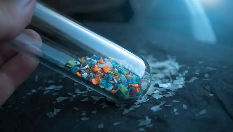 Mikroplastikler Beynimizde: Sağlık Üzerindeki Korkutucu Etkileri
